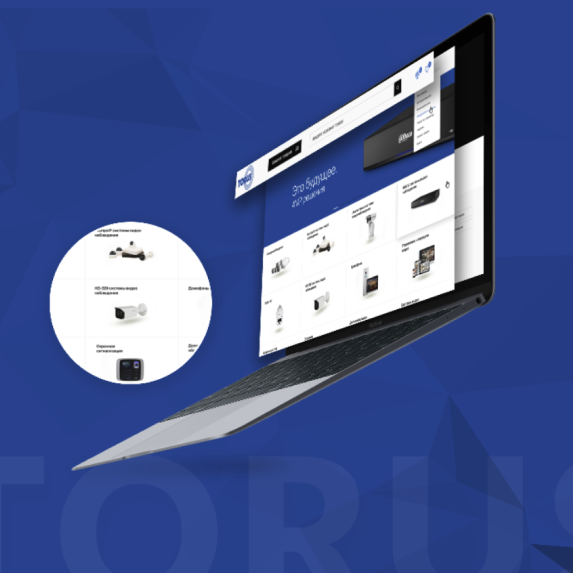 torus1